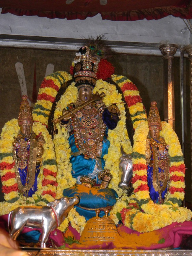 THiruvallur Thai Brahmotsavam Velli Chapparam  2014--07