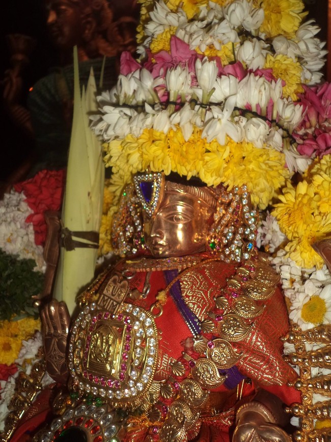 Thai Velli Dolai at Dalmiapuram Kodandaramar sannathi 2014  -04