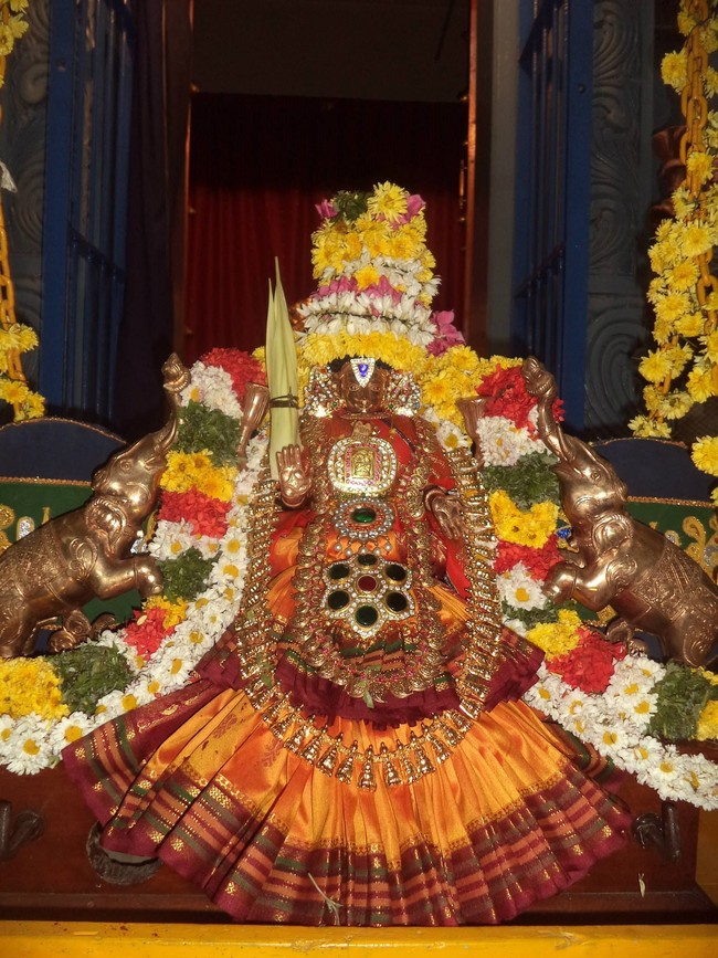 Thai Velli Dolai at Dalmiapuram Kodandaramar sannathi 2014  -08
