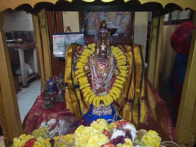 Thai Velli  Dolai at Perangalathur Srinivasa Perumal temple 2014--00