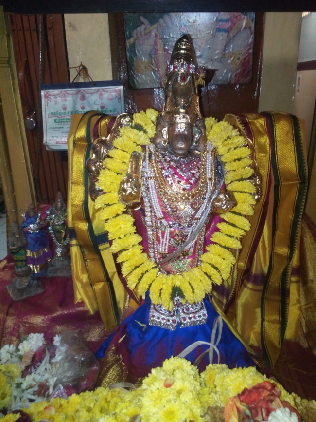 Thai Velli  Dolai at Perangalathur Srinivasa Perumal temple 2014--01