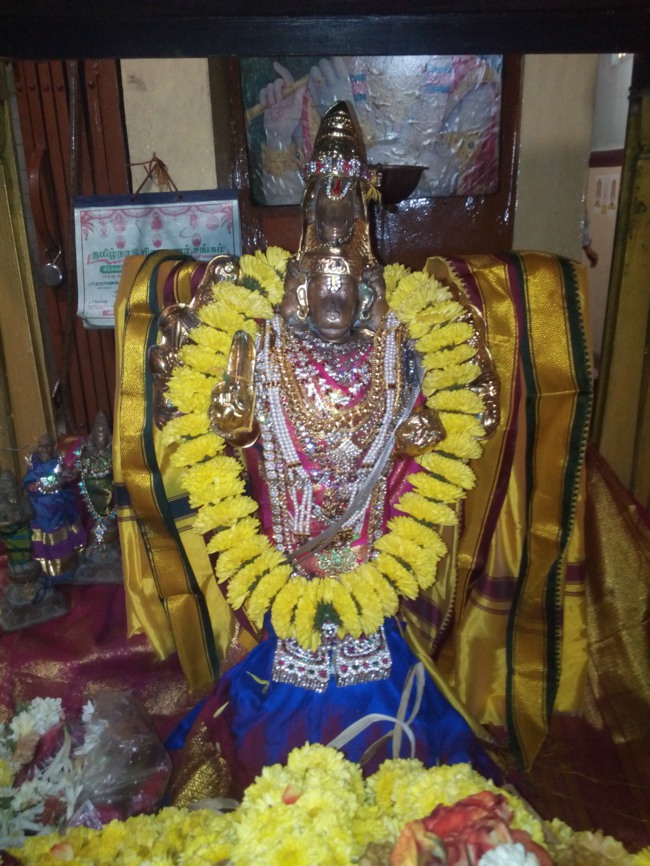 Thai Velli  Dolai at Perangalathur Srinivasa Perumal temple 2014--02