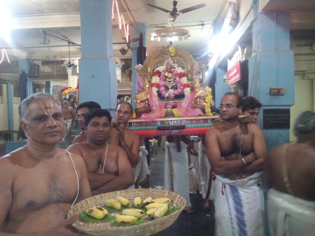 Thai Velli  Dolai at Perangalathur Srinivasa Perumal temple 2014--16