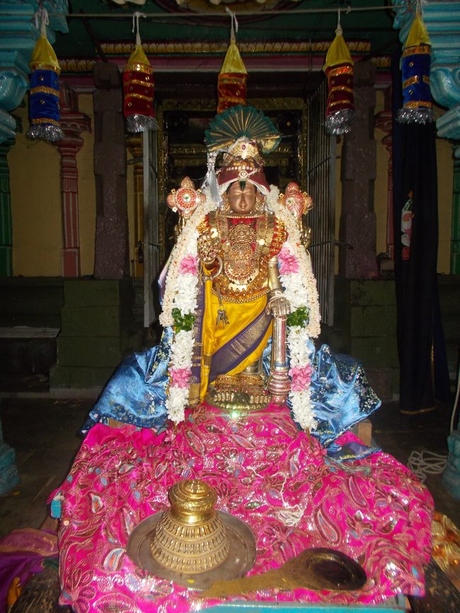 Therazhundur Amaruviyappan Peruma Pagal pathu day 8 20142jpg