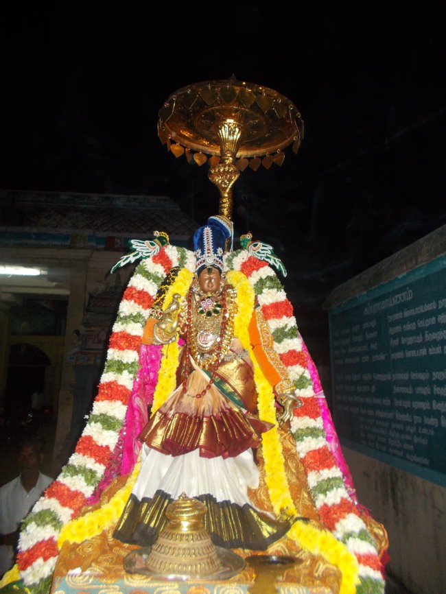 Therazhundur Amaruviyappan Perumal Vaikunda Ekadasi 2014--00