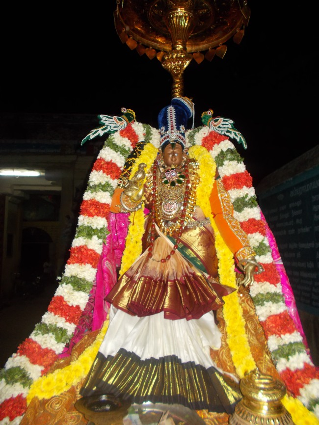 Therazhundur Amaruviyappan Perumal Vaikunda Ekadasi 2014--02