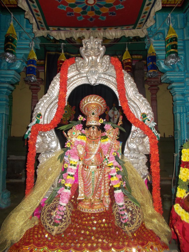 Therazhundur Amaruviyappan Perumal Vaikunda Ekadasi 2014--03