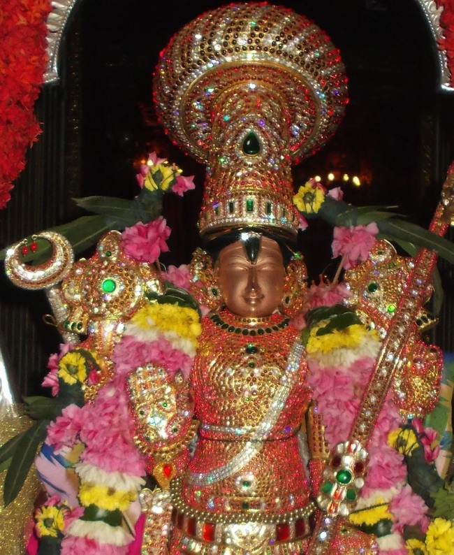 Therazhundur Amaruviyappan Perumal Vaikunda Ekadasi 2014--13