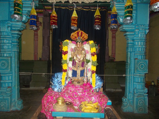 Therazhundur Amaruviyappan Perumal temple Pagal Pathu Utsavam day 3 2013--00