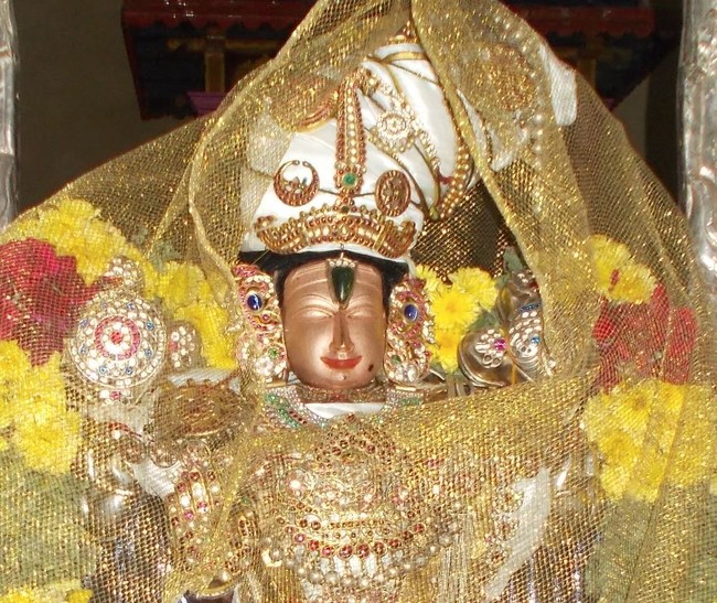 Therazhundur Amaruviyappan temple Pranayakalaha Utsavam 2014  -02