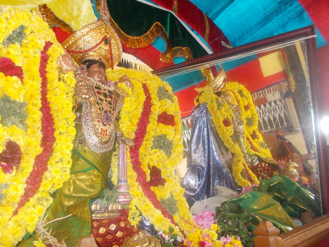 Therazhundur Amaruviyappan temple Pranayakalaha Utsavam 2014  -06