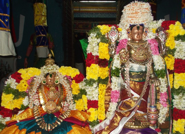 Therazhundur Sri Amaruviappan Sengamavalli thayar Serthi 2014--03