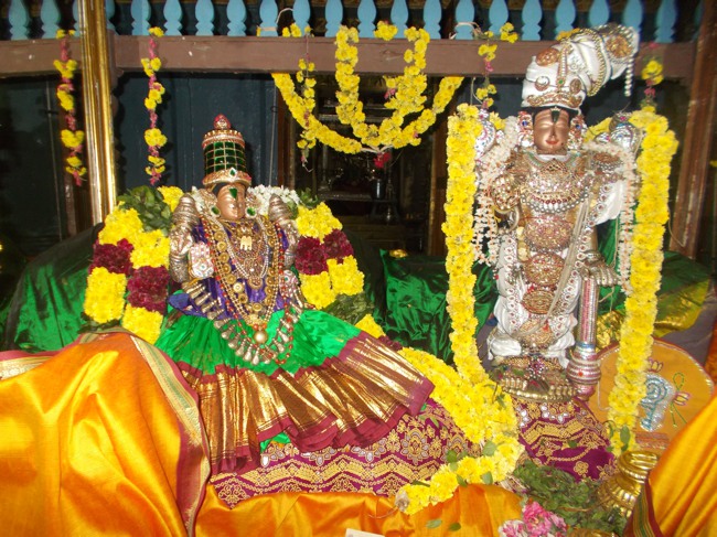 Therazhundur Sri Amaruviappan Sengamavalli thayar Serthi 2014--08