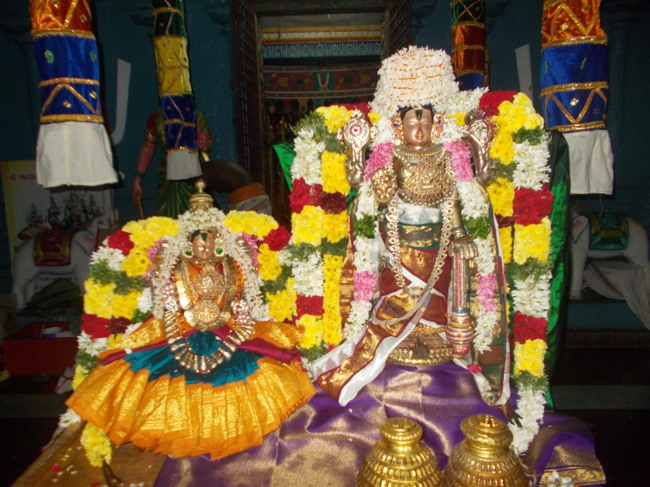 Therazhundur Sri Amaruviappan Sengamavalli thayar Serthi 2014--10