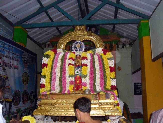 Thirukannamangai Bhaktavatsala Perumal Temple Irappathu day 5 2014 -22