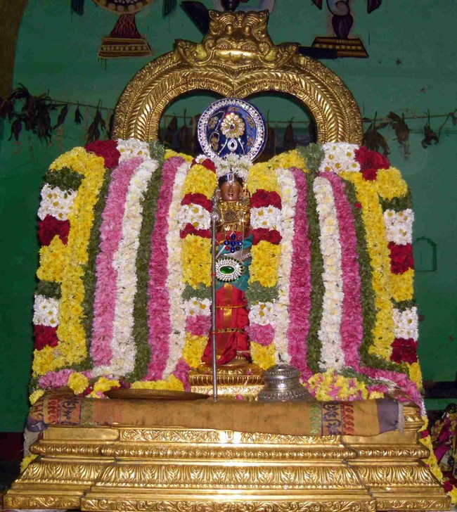 Thirukannamangai Bhaktavatsala Perumal Temple Irappathu day 5 2014 -24