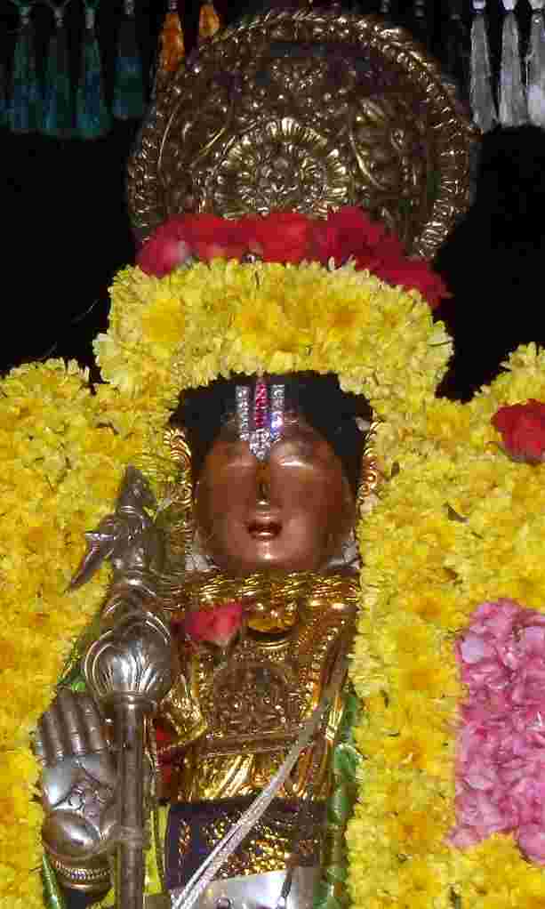 Thirukannamangai Bhakthavatsala Peruma Irappathu day 9  2014 -15