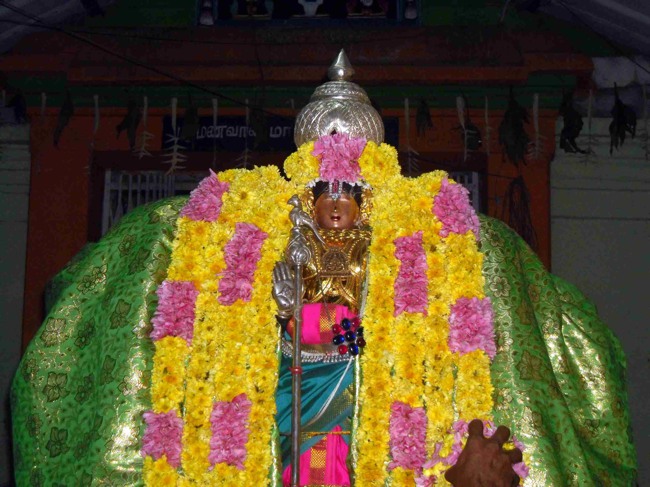 Thirukannamangai Bhakthavatsala Perumal Irappathu day 8 2014--17