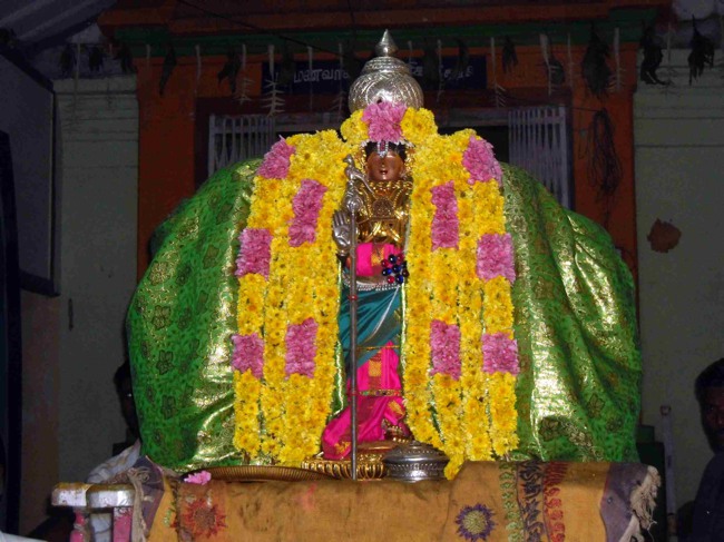 Thirukannamangai Bhakthavatsala Perumal Irappathu day 8 2014--19