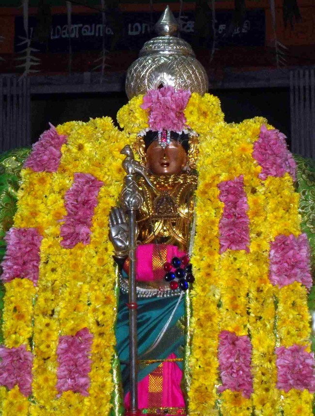 Thirukannamangai Bhakthavatsala Perumal Irappathu day 8 2014--20