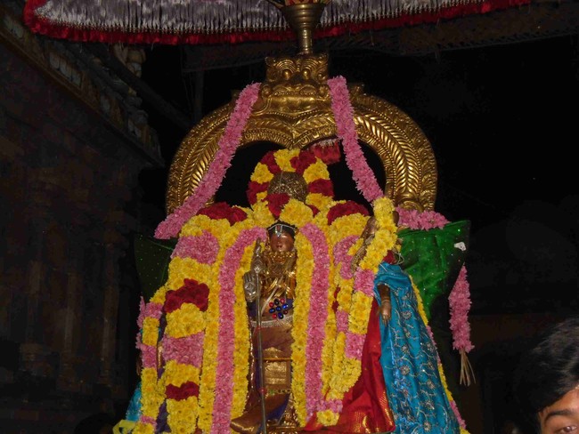 Thirukannamangai Bhakthavatsala  Perumal Perumal Irappathu Satrumurai  2014 -11