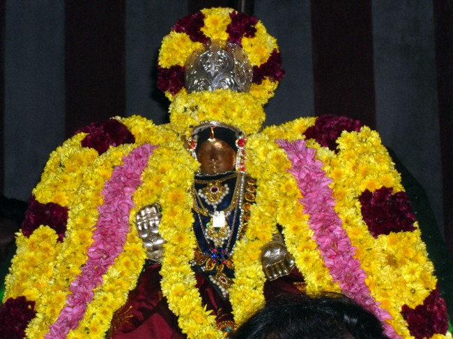 Thirukannamangai  Thai Velli Thayar Purappadus 2014--06