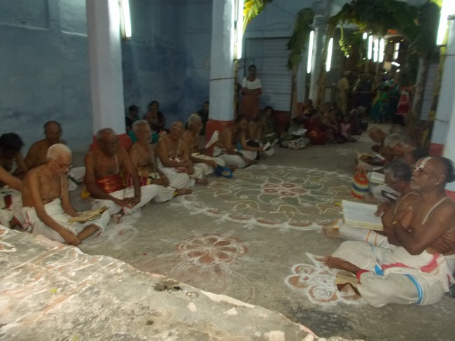 Thirukoodal Perumal Vaikunda Ekadasi 2014--01