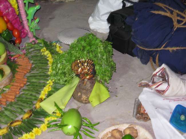 Thirukudanthai Aravamudhan THiruadhyayana Utsavam jan2014--18