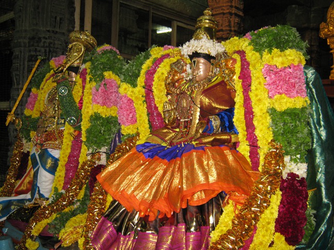 Thirukudanthai Aravamudhan THiruadhyayana Utsavam jan2014--23