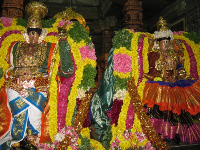Thirukudanthai Aravamudhan THiruadhyayana Utsavam jan2014--26