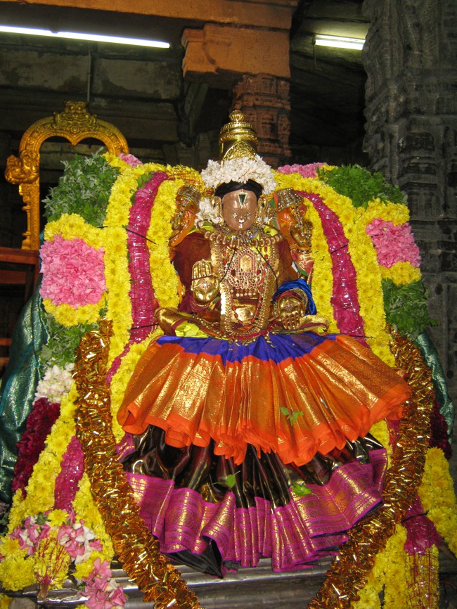 Thirukudanthai Aravamudhan THiruadhyayana Utsavam jan2014--29