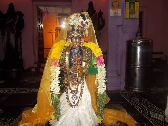 Thirunagari Parakla Nayagi  Pagal pathu day 7 2014-4