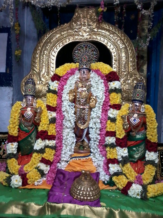 Thirupallandu THodakkam at Thiruvellukai Divyadsam  2014 -5