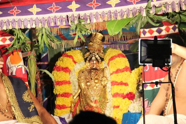 Thirupathi Sri Kannan_Andal Bhogi Purappadu  4  2014-08