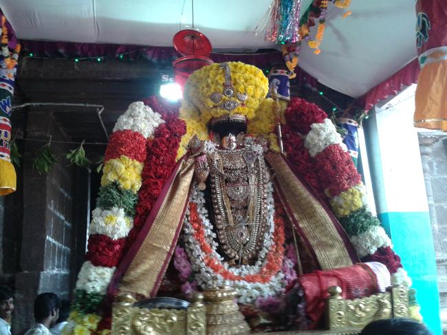 Thiruvaheendrapuram Pagal Pathu utsavam day-1 2013-06