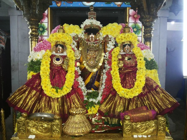 Thiruvahindrapuram Devanatha Peruma Irappathu day 6_7 2014--03