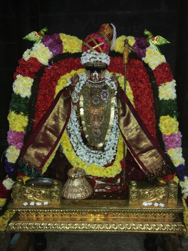 Thiruvahindrapuram Devanatha Peruma Irappathu day 6_7 2014--04