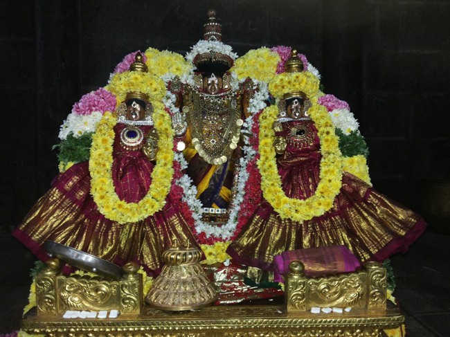 Thiruvahindrapuram Devanatha Peruma Irappathu day 6_7 2014--05