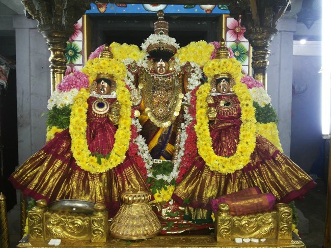 Thiruvahindrapuram Devanatha Peruma Irappathu day 6_7 2014--06