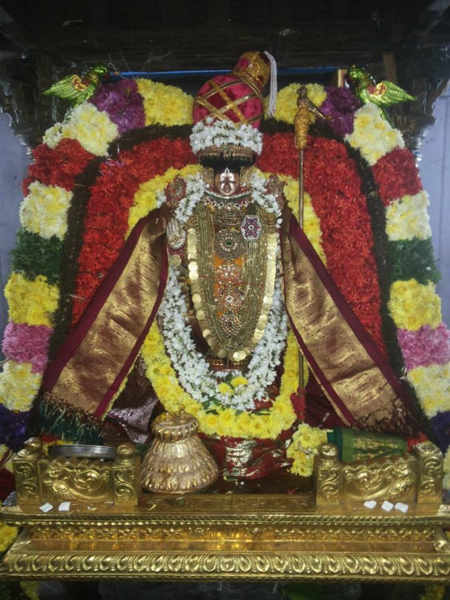 Thiruvahindrapuram Devanatha Peruma Irappathu day 6_7 2014--10
