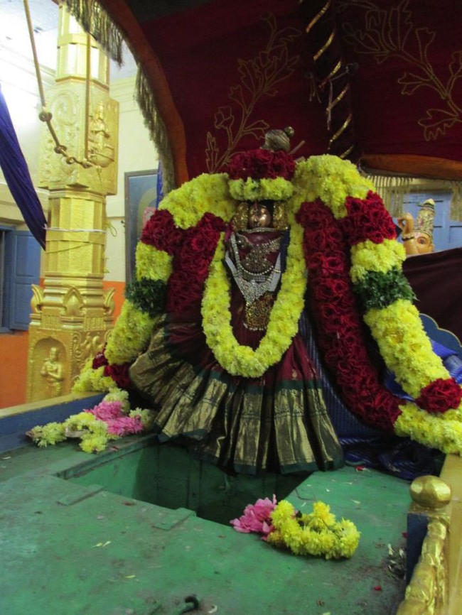Thiruvahindrapuram Devanatha Perumal Vaikunda Ekadasi 2014--00