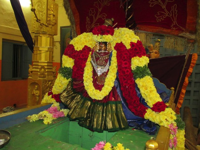 Thiruvahindrapuram Devanatha Perumal Vaikunda Ekadasi 2014--01