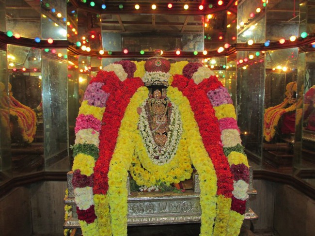 Thiruvahindrapuram Devanatha Perumal Vaikunda Ekadasi 2014--05