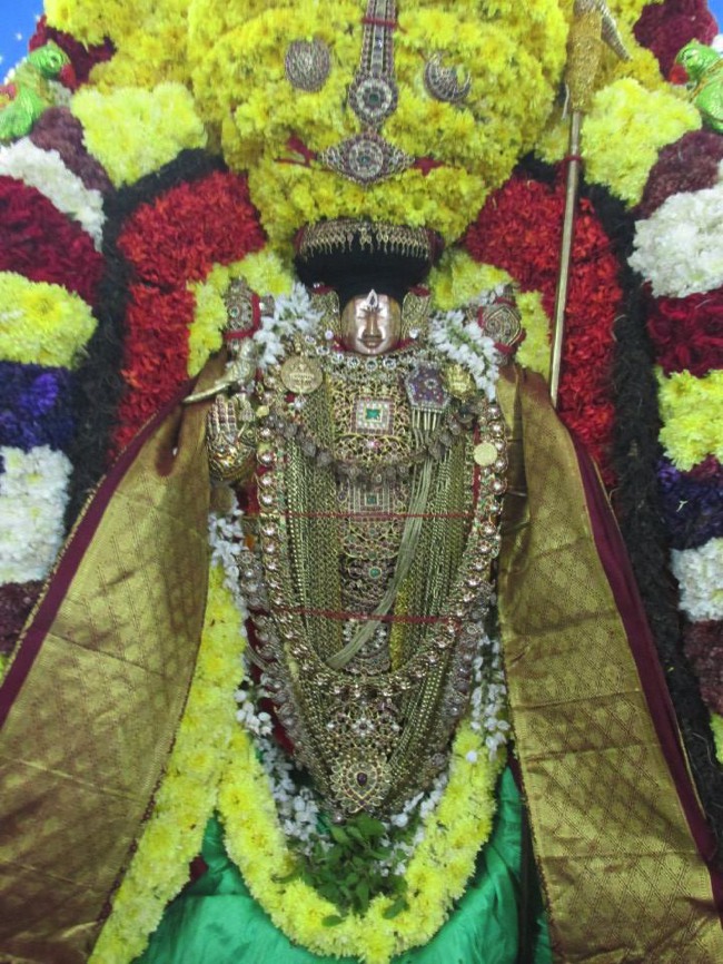 Thiruvahindrapuram Devanatha Perumal Vaikunda Ekadasi 2014--06