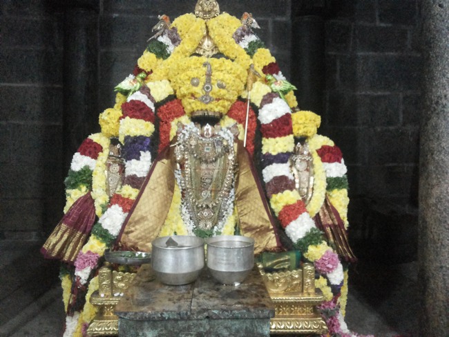 Thiruvahindrapuram Devanatha Perumal Vaikunda Ekadasi 2014--08
