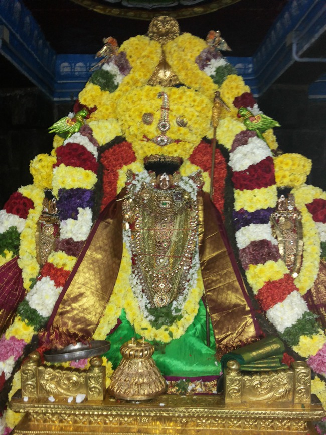Thiruvahindrapuram Devanatha Perumal Vaikunda Ekadasi 2014--09