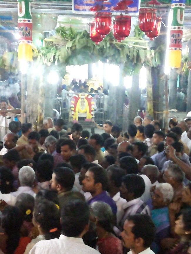 Thiruvahindrapuram Devanatha Perumal Vaikunda Ekadasi 2014--13