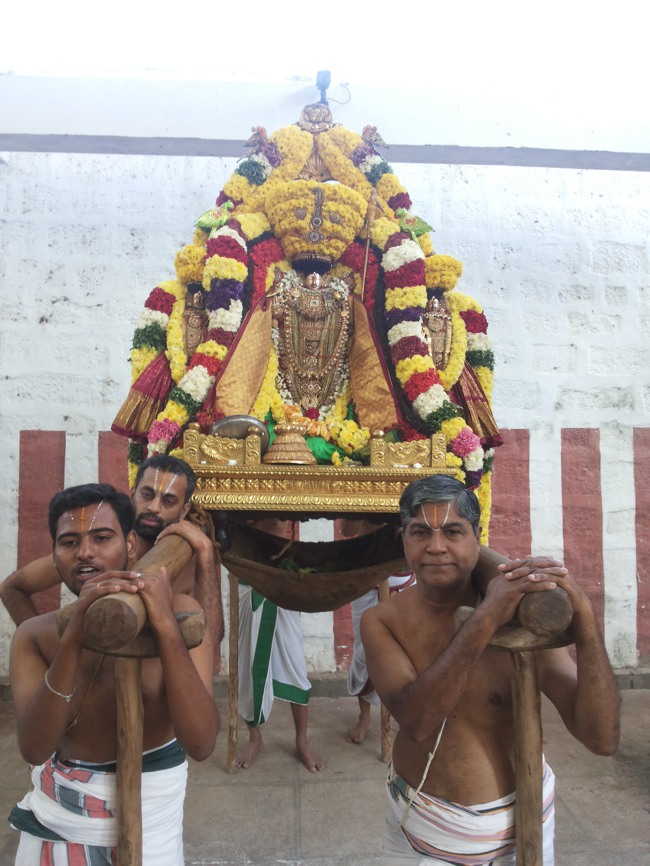 Thiruvahindrapuram Devanatha Perumal Vaikunda Ekadasi 2014--15