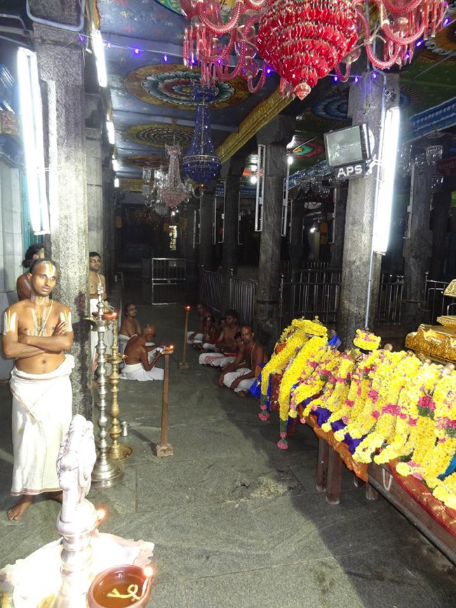 Thiruvahindrapuram Iyarpa Satrumurai 2014--10