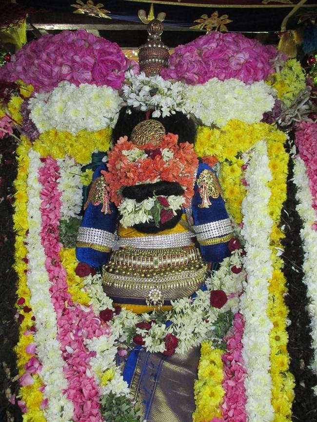Thiruvahindrapuram  Pagal pathu day 7 2014-06